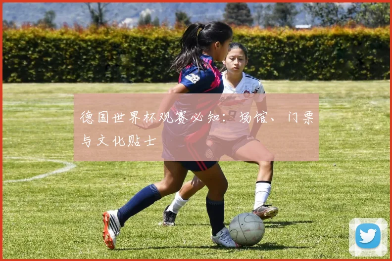 德国世界杯观赛必知：场馆、门票与文化贴士