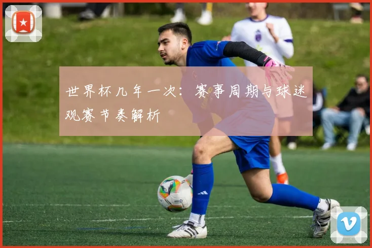 世界杯几年一次：赛事周期与球迷观赛节奏解析